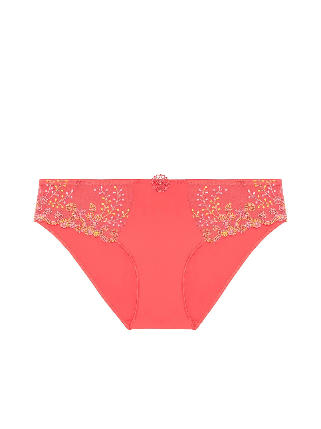 Delice Embroidered Brief front picture