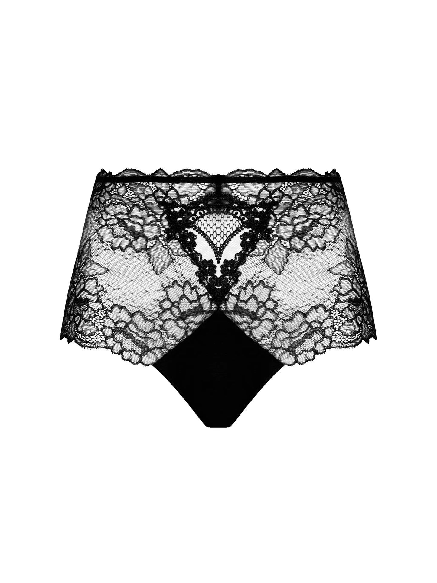 SUBLIME EN DENTELLE Retro Brief