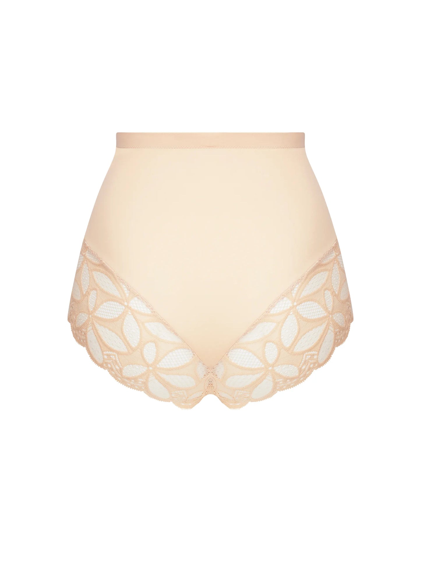 Stricto Sensuelle Light  Control Brief back picture